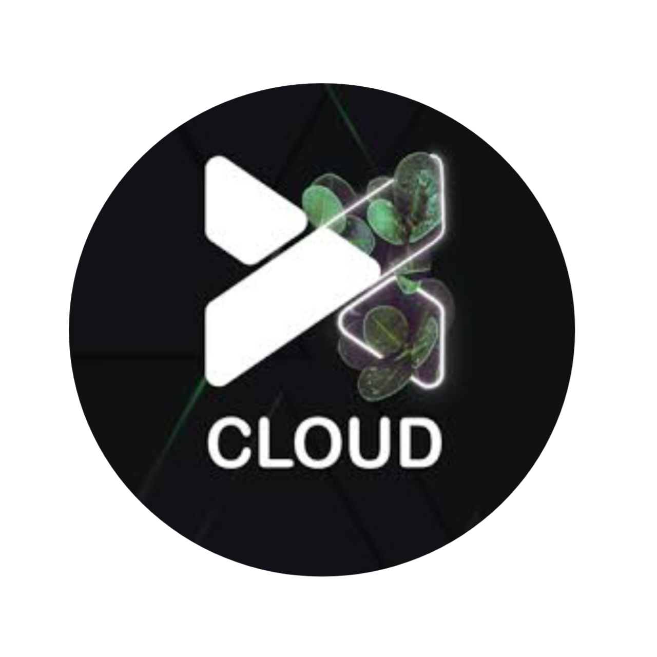 X-CLOUD